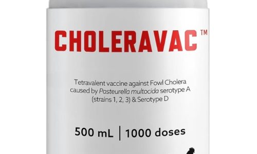 Choleravac